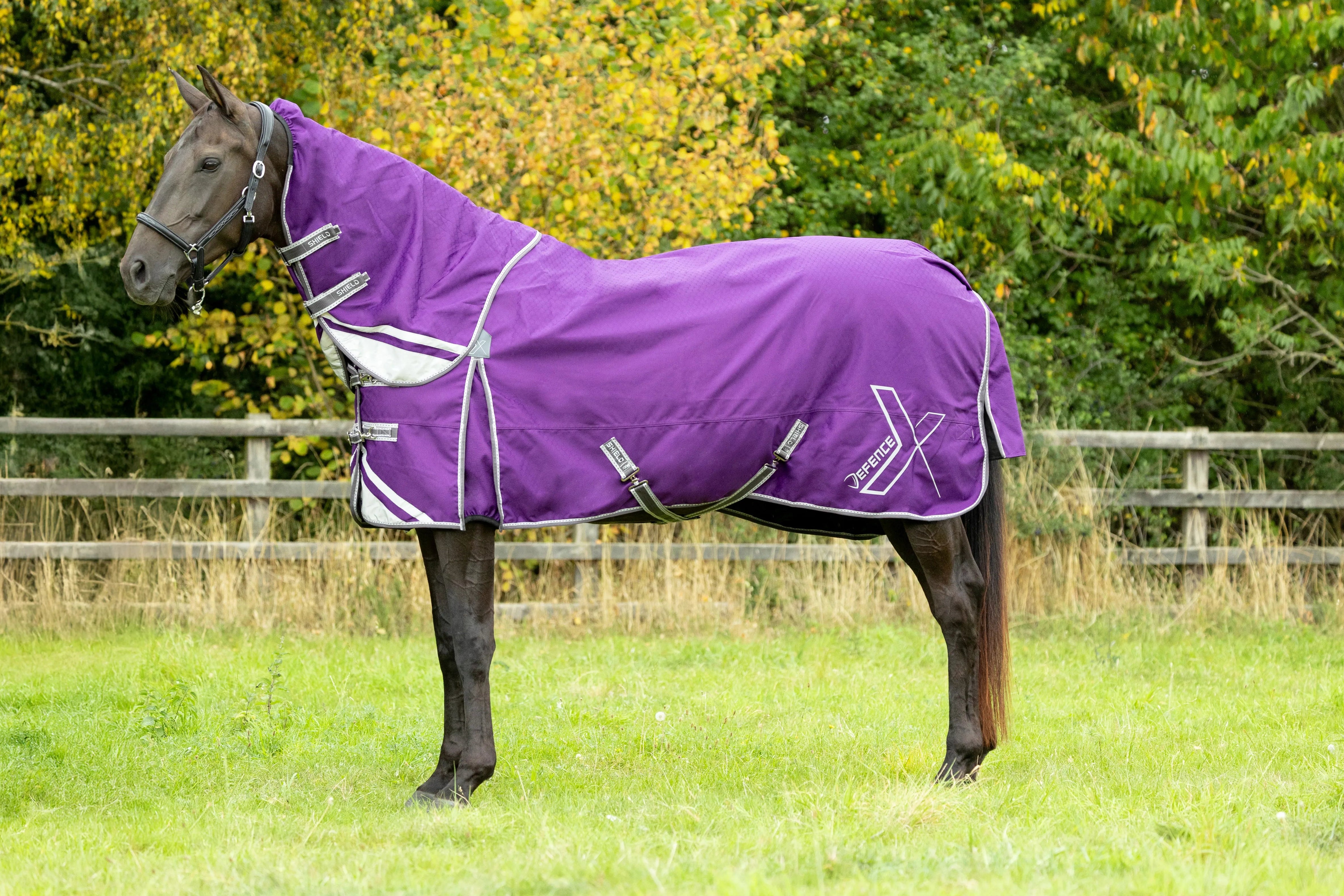 DefenceX Shield 100g Lightweight Turnout Rug with Detachable Neck DefenceX Shield 100g Lightweight Turnout Rug with Detachable Neck