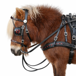 Windsor Miniature Leather Driving Harness – Patent Trim with Red Detailing Windsor Miniature Leather Driving Harness – Patent Trim with Red Detailing