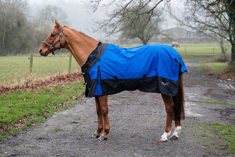 Rhinegold Phoenix Outdoor Rug Rhinegold Phoenix Outdoor Rug