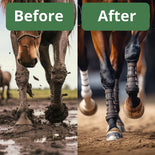 HoofJet – Deep Cleaning Hoof & Leg Brush with Water Dispenser  HoofJet – Deep Cleaning Hoof & Leg Brush with Water Dispenser