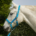 Rhinegold Carnival Headcollar & Lead Rope Set Rhinegold Carnival Headcollar & Lead Rope Set