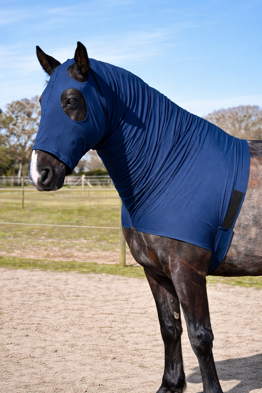 Rhinegold Lycra Hood with Face – Stretch Hood for Mane, Neck & Coat Protection Rhinegold Lycra Hood with Face – Stretch Hood for Mane, Neck & Coat Protection
