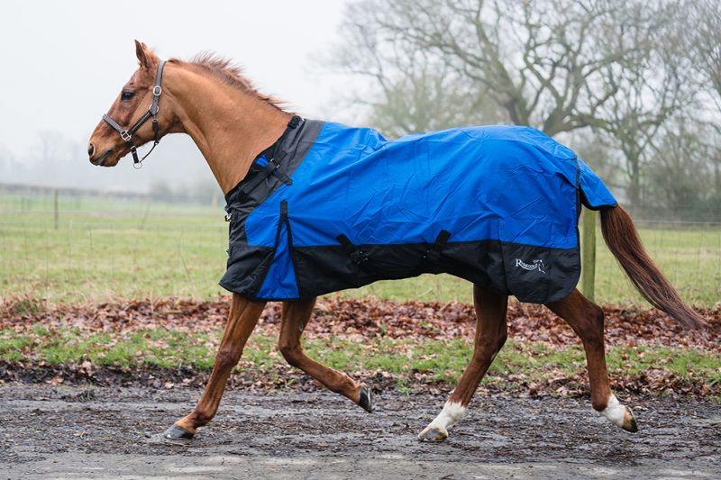 Rhinegold Phoenix Outdoor Rug Rhinegold Phoenix Outdoor Rug