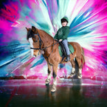 Colour Splash Horse Portrait – Bold Custom Canvas Art  Colour Splash Horse Portrait – Bold Custom Canvas Art