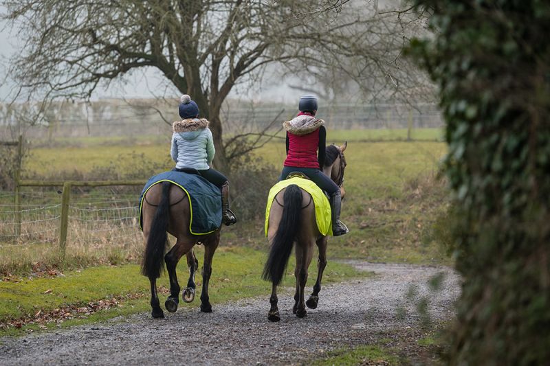 Rhinegold 3/4 Length Cutaway Design Waterproof Ride-On Rug Rhinegold 3/4 Length Cutaway Design Waterproof Ride-On Rug