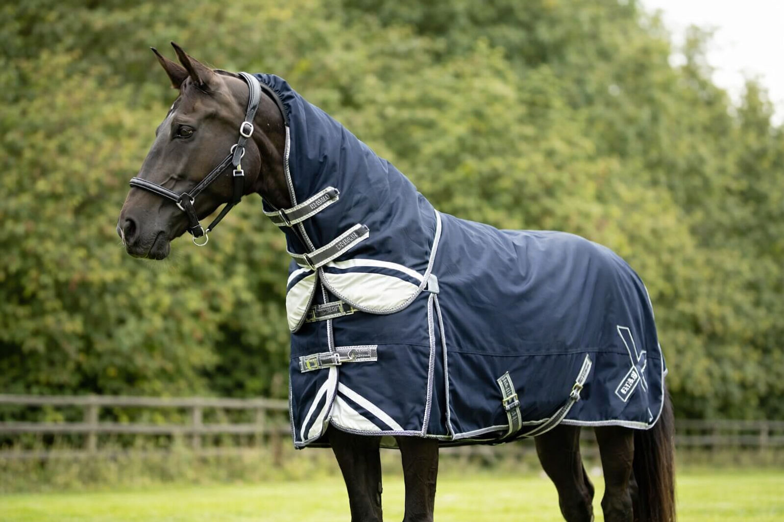 DefenceX Shield 50g Turnout Rug with Detachable Neck - DefenceX Shield 50g Turnout Rug with Detachable Neck -