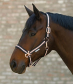 Waldhausen Rose Gold Headcollar  Waldhausen Rose Gold Headcollar 