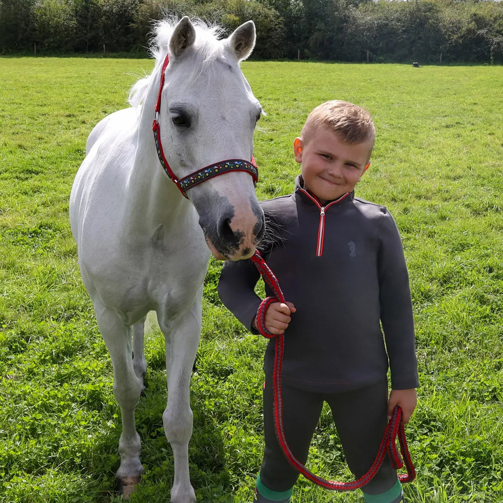 Hy Equestrian Tractors Rock Head Collar & Lead Rope Hy Equestrian Tractors Rock Head Collar & Lead Rope