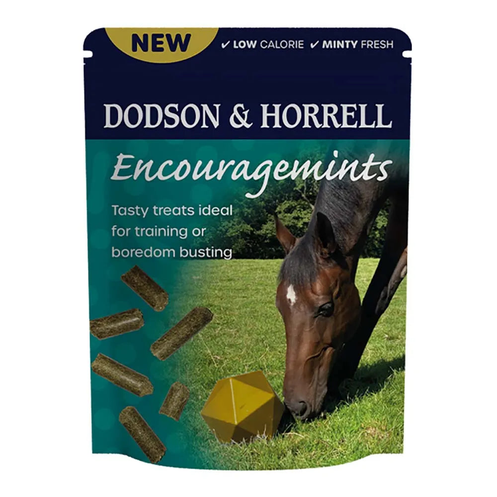 D&H Encouragemints - 20 x 750g  D&H Encouragemints - 20 x 750g