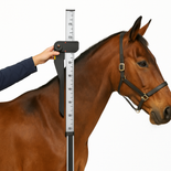 Horse Measuring Stick Horse Measuring Stick