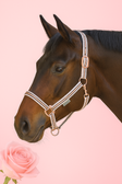 Waldhausen Rose Gold Headcollar  Waldhausen Rose Gold Headcollar 