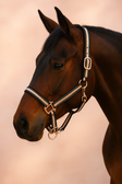 Waldhausen Rose Gold Headcollar  Waldhausen Rose Gold Headcollar 