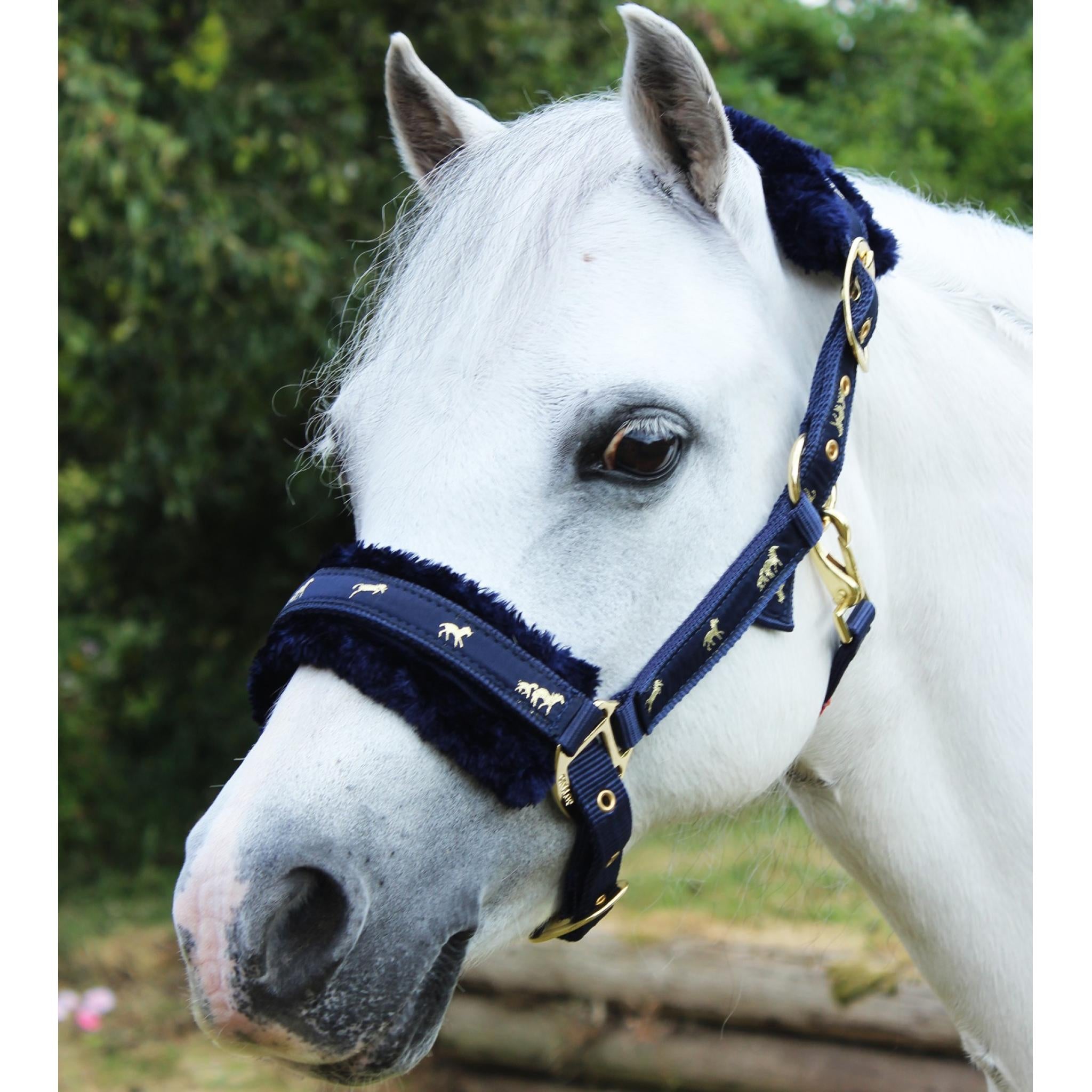 Full Fur Head Collar Full Fur Head Collar
