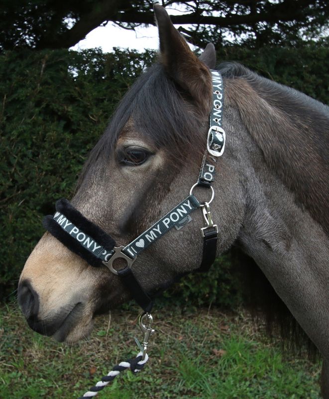 Rhinegold Love My Pony Headcollar & Lead Rope Set Rhinegold Love My Pony Headcollar & Lead Rope Set