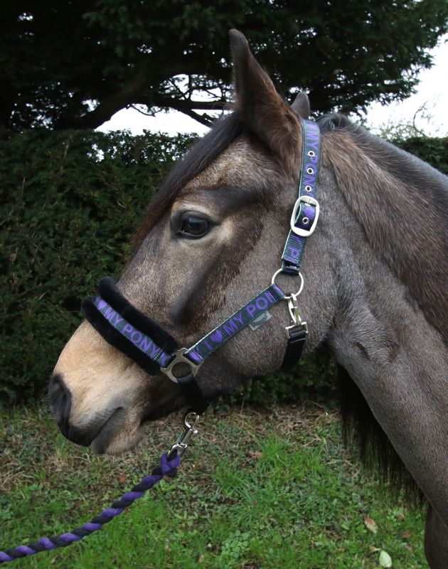 Rhinegold Love My Pony Headcollar & Lead Rope Set Rhinegold Love My Pony Headcollar & Lead Rope Set
