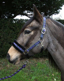 Rhinegold Love My Pony Headcollar & Lead Rope Set Rhinegold Love My Pony Headcollar & Lead Rope Set