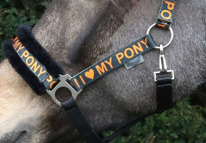 Rhinegold Love My Pony Headcollar & Lead Rope Set Rhinegold Love My Pony Headcollar & Lead Rope Set