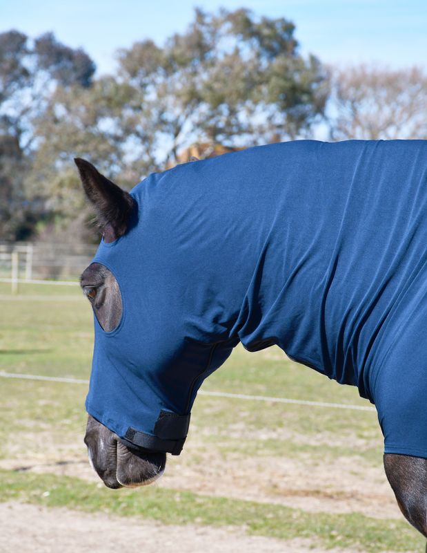 Rhinegold Lycra Hood with Face – Stretch Hood for Mane, Neck & Coat Protection Rhinegold Lycra Hood with Face – Stretch Hood for Mane, Neck & Coat Protection