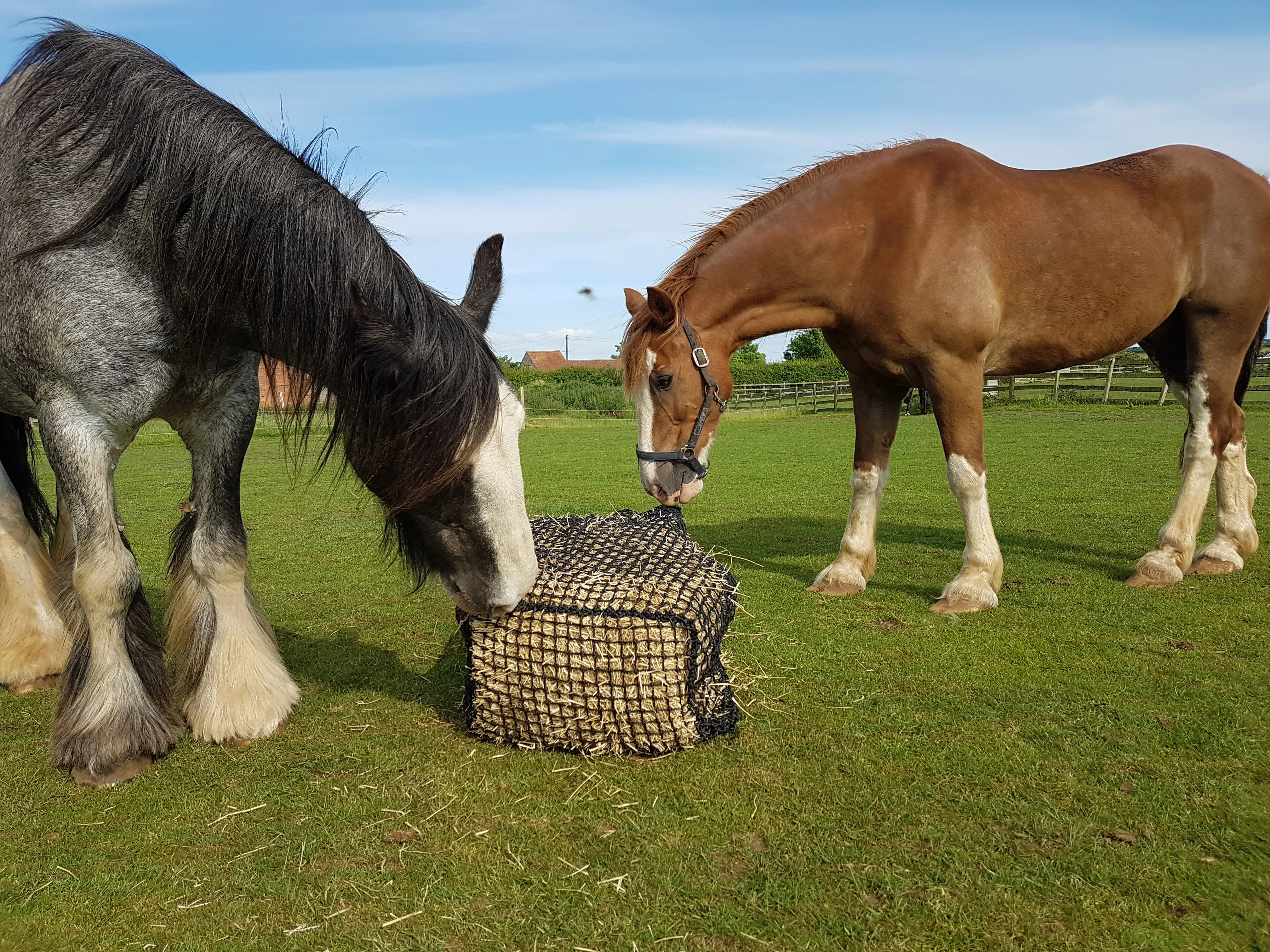 Trickle Net Bale Net Trickle Net Bale Net