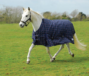 Rhinegold Zeus Outdoor Rug