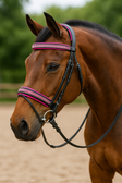 EquiPride Rose Crystal Comfort Bridle – Black & Hot Pink Padded Elegance