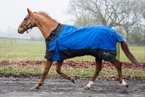 Rhinegold Phoenix Outdoor Rug