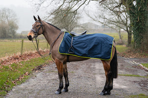 Rhinegold 3/4 Length Cutaway Design Waterproof Ride-On Rug