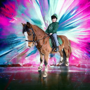 Colour Splash Horse Portrait – Bold Custom Canvas Art