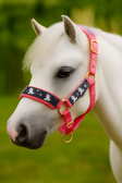 Hy Equestrian Unicorn Magic Headcollar & Lead Rope Set – Pink