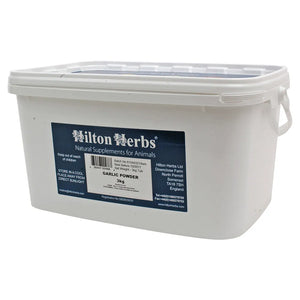 Hilton Herbs Garlic Powder – Natural Support for Health & Vitality