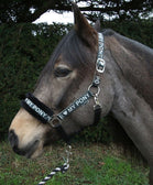 Rhinegold Love My Pony Headcollar & Lead Rope Set
