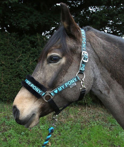 Rhinegold Love My Pony Headcollar & Lead Rope Set