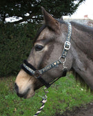 Rhinegold Love My Pony Headcollar & Lead Rope Set