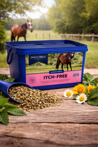 Dodson & Horrell Itch-Free – Herbal Skin Support Supplement